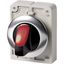 Illuminated selector switch actuator, RMQ-Titan, With thumb-grip, momentary, 2 positions, red, Metal bezel thumbnail 2