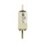 Fuse-link, high speed, 100 A, AC 660 V, DIN 0, aR, DIN, IEC, single indicator, live gripping lugs thumbnail 6