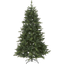 Christmas Tree Bergen thumbnail 1