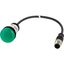 Indicator light, Flat, Cable (black) with M12A plug, 4 pole, 0.2 m, Lens green, LED green, 24 V AC/DC thumbnail 2