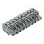 1-conductor female connector CAGE CLAMP® 2.5 mm² gray thumbnail 1