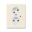 5593H-C02357 17 Double socket outlet with earthing pins, shuttered, with turned upper cavity, with surge protection thumbnail 1