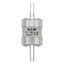 Utility fuse-link, low voltage, 63 A, AC 415 V, BS88/J, 38 x 101 mm, gL/gG, BS thumbnail 6