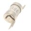 Fuse-link, LV, 125 A, AC 600 V, DC 250 V, HRCII-MISC, 38 x 112 mm, CSA thumbnail 3