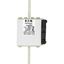 Fuse-link, high speed, 315 A, AC 1250 V, size 2, 61 x 77 x 160 mm, aR, IEC, UL, single indicator thumbnail 8