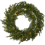 Wreath Thuja thumbnail 1