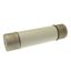 Oil fuse-link, medium voltage, 160 A, AC 3.6 kV, BS2692 F01, 254 x 63.5 mm, back-up, BS, IEC, ESI, with striker thumbnail 21