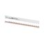 Horizontal busbar, 10mm², 1P+N thumbnail 4