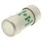Fuse-link, low voltage, 45 A, AC 240 V, BS1361, 17 x 35 mm, BS thumbnail 3