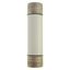 Oil fuse-link, medium voltage, 160 A, AC 3.6 kV, BS2692 F01, 254 x 63.5 mm, back-up, BS, IEC, ESI, with striker thumbnail 12