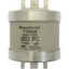 Fuse-link, low voltage, 710 A, AC 550 V, DC 250 V, BS88, 83 x 112 mm, gL/gG, BS thumbnail 7