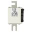 Fuse-link, high speed, 315 A, AC 1250 V, size 2, 61 x 77 x 138 mm, aR, DIN, IEC, single indicator thumbnail 6