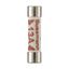 Fuse-link, Overcurrent NON SMD, 2 A, AC 240 V, BS1362 plug fuse, 6.3 x 25 mm, gL/gG, BS thumbnail 6