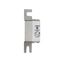 Fuse-link, high speed, 100 A, AC 690 V, DIN 000, 21 x 40 x 100 mm, aR, DIN, IEC, single indicator thumbnail 11