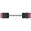 pre-assembled interconnecting cable Eca Socket/plug pink thumbnail 2