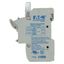 Fuse-holder, low voltage, 50 A, AC 690 V, 14 x 51 mm, 3P, IEC thumbnail 13
