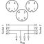 Sensor/Actuator cable 2xM12 socket straight M12A plug straight thumbnail 4