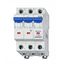 Miniature Circuit Breaker (MCB) B, 40A, 3-pole, 10kA thumbnail 1