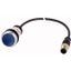 Illuminated pushbutton actuator, Flat, momentary, 1 N/O, Cable (black) with M12A plug, 4 pole, 0.5 m, LED Blue, Blue, Blank, 24 V AC/DC, Bezel: titani thumbnail 1