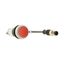 Pushbutton, Flat, momentary, 1 NC, Cable (black) with M12A plug, 4 pole, 0.2 m, red, Blank, Bezel: titanium thumbnail 10