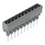 Male connector for rail-mount terminal blocks 1.2 x 1.2 mm pins straig thumbnail 5