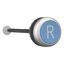 Release pushbutton, blue, R thumbnail 11