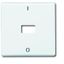 2108-34 CoverPlates (partly incl. Insert) carat® Alpine white thumbnail 1