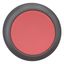 Pushbutton, RMQ-Titan, Flat, maintained, red, Blank, Bezel: black thumbnail 11