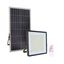 Ledinaire Floodlights Solar, 32 W, 4160 lm, 3000 K, CRI80, IR remote, Symmetrical, IP65 thumbnail 1