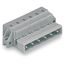 1-conductor male connector CAGE CLAMP® 2.5 mm² gray thumbnail 1