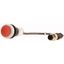 Pushbutton, Flat, momentary, 1 NC, Cable (black) with M12A plug, 4 pole, 0.5 m, red, Blank, Bezel: titanium thumbnail 3