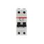 S202P-D40 Miniature Circuit Breaker - 2P - D - 40 A thumbnail 6