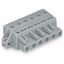 1-conductor female connector CAGE CLAMP® 2.5 mm² gray thumbnail 4