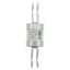 Utility fuse-link, low voltage, 100 A, AC 415 V, BS88/J, 31 x 110 mm, gL/gG, BS thumbnail 23