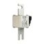 Fuse-link, high speed, 500 A, AC 690 V, DIN 1, 53 x 69 x 138 mm, aR, DIN, IEC, single indicator thumbnail 11