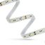 LED STRIP 44W 3528 120LED WW 2 years ECO 1m (roll 5m) without silicone thumbnail 4