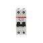 S202P-D6 Miniature Circuit Breaker - 2P - D - 6 A thumbnail 9