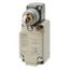 Limit switch, Horizontal-roller plunger, Pg13.5 with ground terminal thumbnail 2
