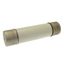 Oil fuse-link, medium voltage, 100 A, AC 3.6 kV, BS2692 F01, 254 x 63.5 mm, back-up, BS, IEC, ESI, with striker thumbnail 12