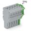 1-conductor female connector Push-in CAGE CLAMP® 4 mm² gray, green-yel thumbnail 3