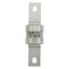 Fuse-link, LV, 315 A, AC 415 V, BS88/B3, BS88/B4, 38 x 136 mm, gL/gG, BS thumbnail 19