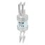 Utility fuse-link, low voltage, 160 A, AC 415 V, BS88/J, 31 x 110 mm, gL/gG, BS thumbnail 23