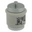 Fuse-link, low voltage, 200 A, AC 500 V, D5, 56 x 46 mm, gR, DIN, IEC, fast-acting thumbnail 10