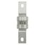 Fuse-link, LV, 315 A, AC 415 V, BS88/B3, BS88/B4, 38 x 136 mm, gL/gG, BS thumbnail 23