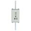Fuse-link, LV, 35 A, AC 500 V, NH02, gL/gG, IEC, dual indicator, live gripping lugs thumbnail 10