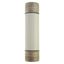 Oil fuse-link, medium voltage, 160 A, AC 3.6 kV, BS2692 F01, 254 x 63.5 mm, back-up, BS, IEC, ESI, with striker thumbnail 11