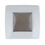 Outdoor flush mount box, IP55, transparent lid, 2M, white thumbnail 9