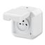 5518-2029 H Double socket outlet with earthing pins, with hinged lids, IP 44 ; 5518-2029 H thumbnail 35
