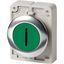 Pushbutton, RMQ-Titan, Flat, momentary, green, inscribed, Metal bezel thumbnail 2