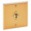 Art d'Arnould universe 3-position roller shutter control memory - brushed gold thumbnail 2